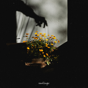 奥特之母坐钢筋
