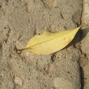 奥特之母坐钢筋
